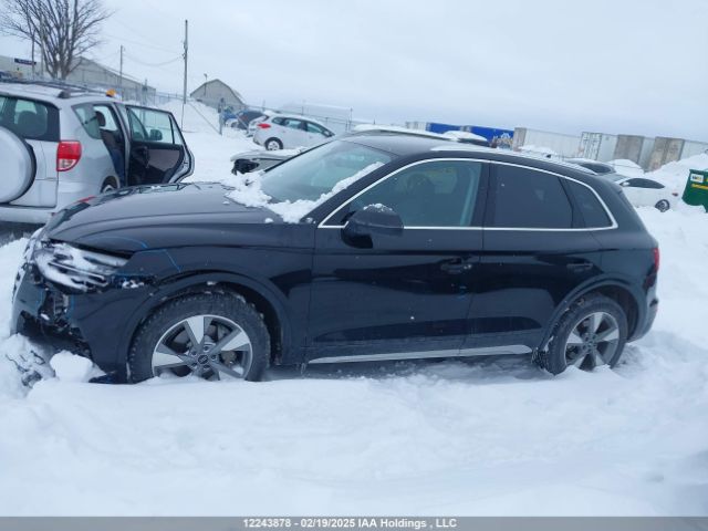 WA1AAAFYXR2065647 2024 AUDI
