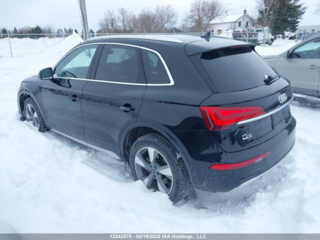 WA1AAAFYXR2065647 2024 AUDI