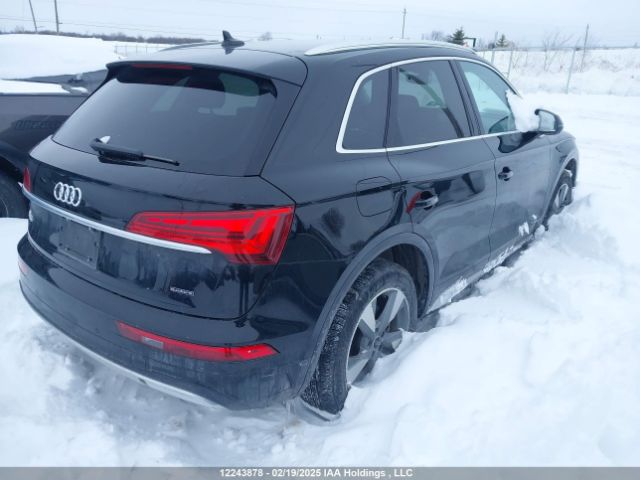 WA1AAAFYXR2065647 2024 AUDI