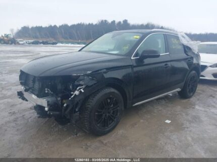 WA1ABAFY1R2131161 2024 AUDI