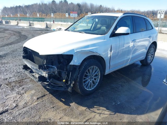 WA1C2AFP3HA079813 2017 AUDI