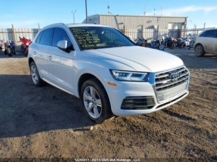 WA1CNAFY1L2050796 2020 AUDI