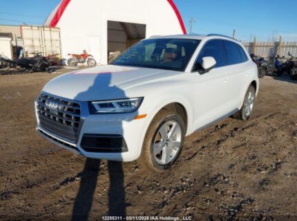 WA1CNAFY1L2050796 2020 AUDI