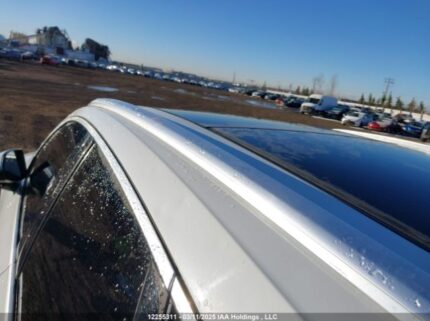 WA1CNAFY1L2050796 2020 AUDI