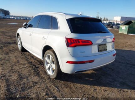 WA1CNAFY1L2050796 2020 AUDI