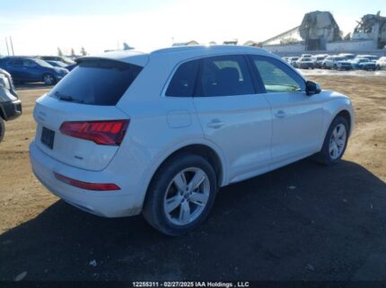 WA1CNAFY1L2050796 2020 AUDI