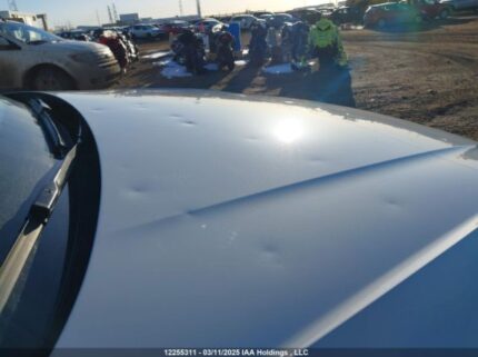 WA1CNAFY1L2050796 2020 AUDI