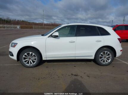 WA1L2AFP6HA099036 2017 AUDI