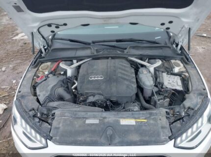WAUAAAF42RN006008 2024 AUDI