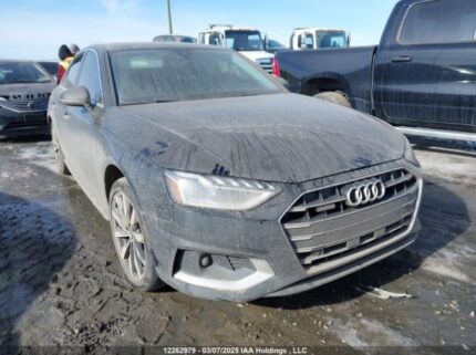 WAUAAAF44PN015077 2023 AUDI