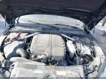 WAUAAAF44PN015077 2023 AUDI