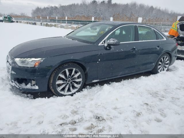 WAUAAAF45RN006259 2024 AUDI