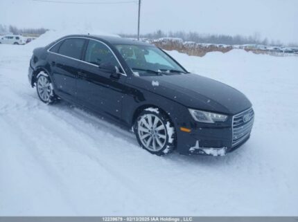 WAUANAF49KN013533 2019 AUDI