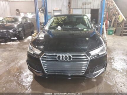 WAUANAF49KN013533 2019 AUDI