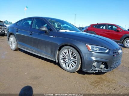 WAUC4CF54KA031123 2019 AUDI