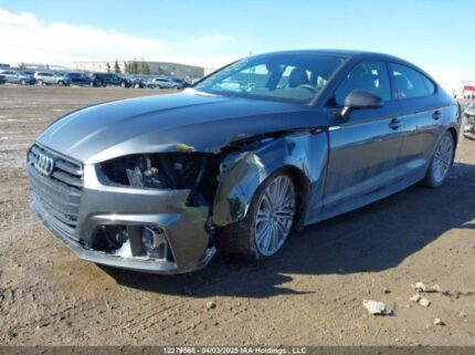 WAUC4CF54KA031123 2019 AUDI