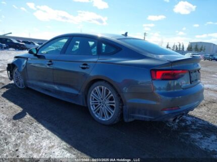 WAUC4CF54KA031123 2019 AUDI