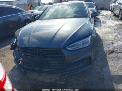 WAUC4CF54KA044602 2019 AUDI