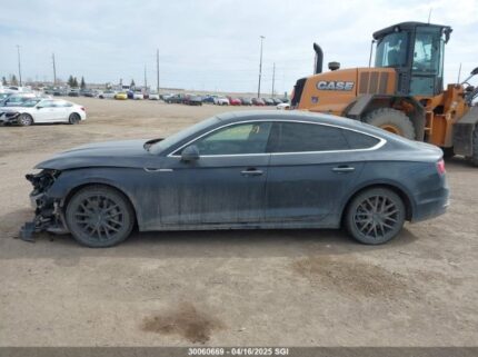WAUCNCF51KA071429 2019 AUDI