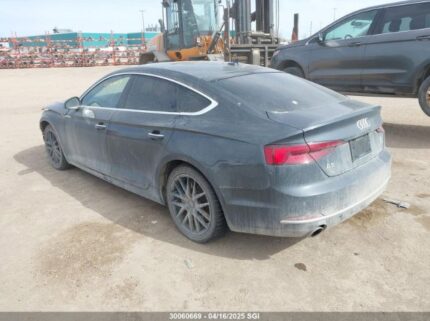 WAUCNCF51KA071429 2019 AUDI