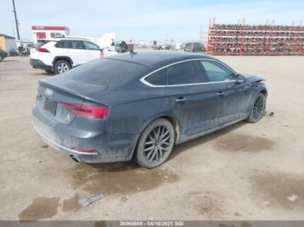 WAUCNCF51KA071429 2019 AUDI