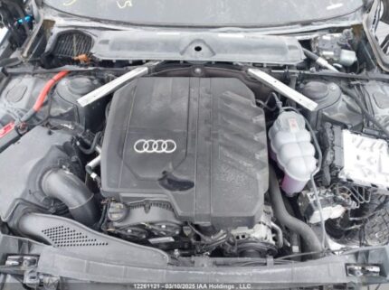WAUEAAF4XRA118502 2024 AUDI