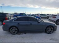 WAUFNAF48HN020729 2017 AUDI
