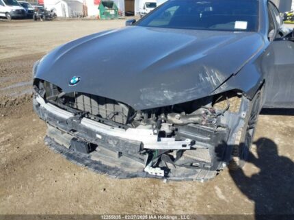WBAGV8C04LCD21164 2020 BMW