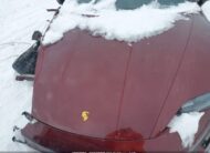WP0BA2Y13MSA71298 2021 PORSCHE