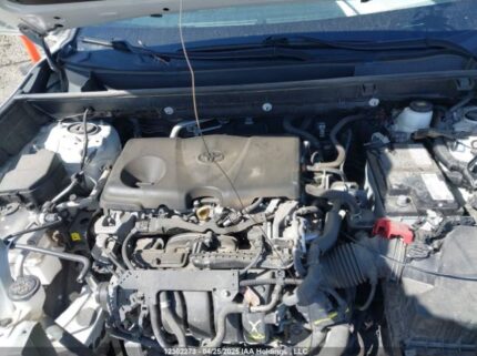 2T3B1RFV1MC170920 2021 TOYOTA