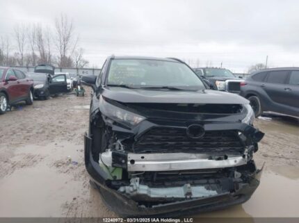 2T3B1RFV6MC145057 2021 TOYOTA