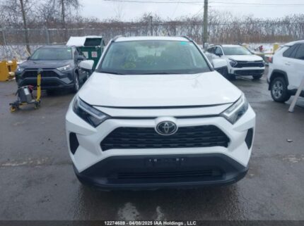 2T3R1RFV4PC366711 2023 TOYOTA