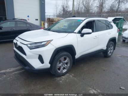 2T3R1RFV4PC366711 2023 TOYOTA