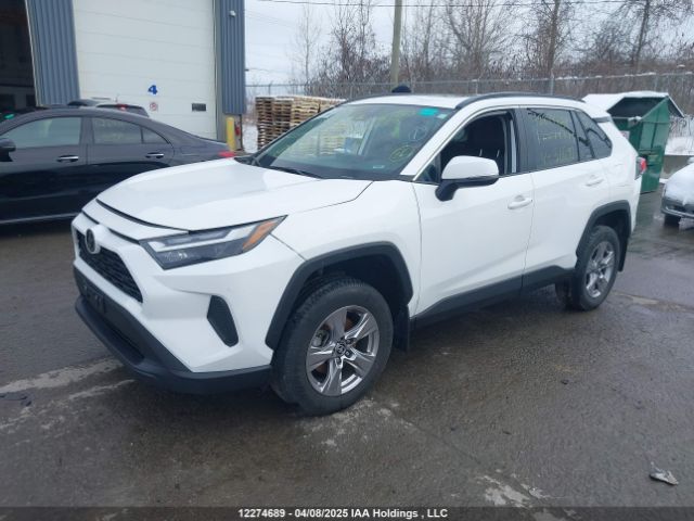 2T3R1RFV4PC366711 2023 TOYOTA