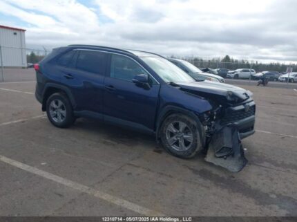 2T3R1RFV5RW487264 2024 TOYOTA