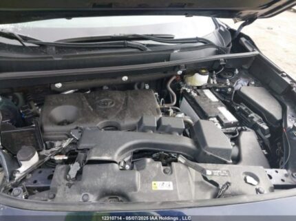 2T3R1RFV5RW487264 2024 TOYOTA