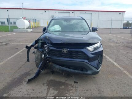 2T3R1RFV5RW487264 2024 TOYOTA