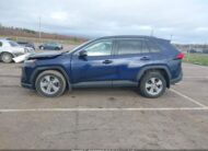 2T3R1RFV5RW487264 2024 TOYOTA