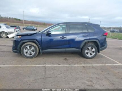 2T3R1RFV5RW487264 2024 TOYOTA