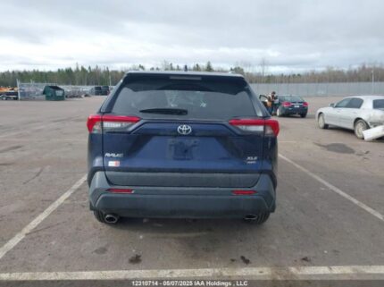2T3R1RFV5RW487264 2024 TOYOTA