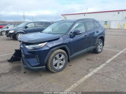 2T3R1RFV5RW487264 2024 TOYOTA
