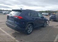 2T3R1RFV5RW487264 2024 TOYOTA