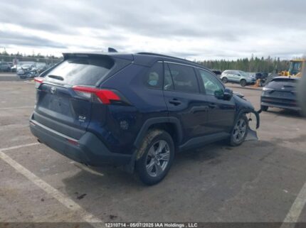 2T3R1RFV5RW487264 2024 TOYOTA