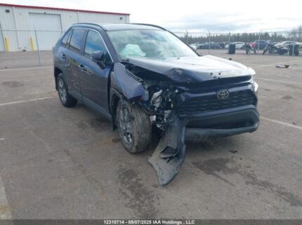 2T3R1RFV5RW487264 2024 TOYOTA