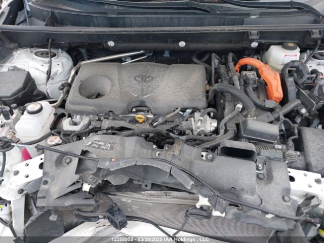 2T3RWRFV3RW233778 2024 TOYOTA