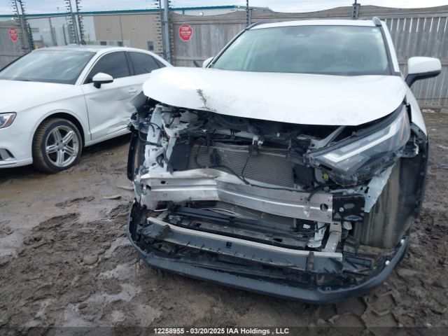 2T3RWRFV3RW233778 2024 TOYOTA