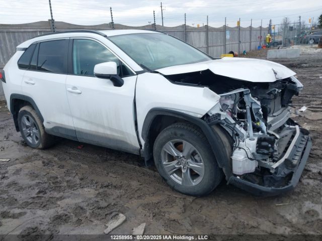 2T3RWRFV3RW233778 2024 TOYOTA