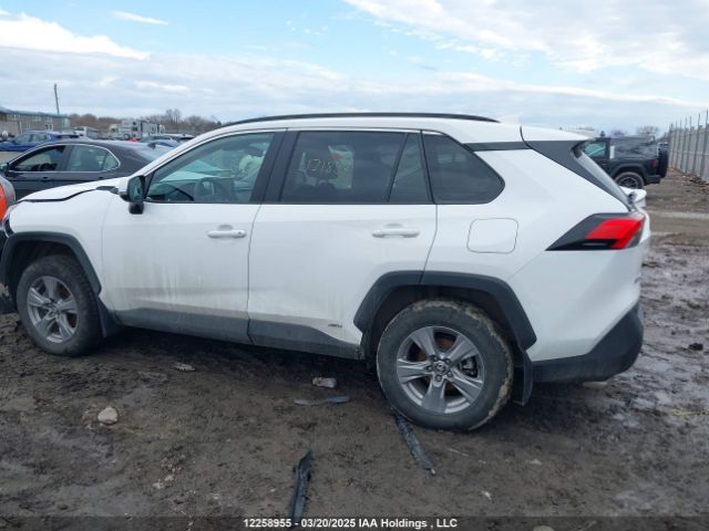2T3RWRFV3RW233778 2024 TOYOTA