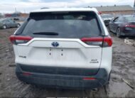 2T3RWRFV3RW233778 2024 TOYOTA