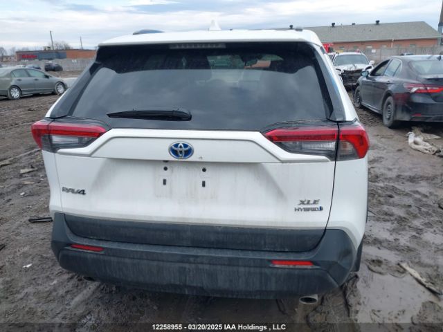 2T3RWRFV3RW233778 2024 TOYOTA